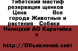 Тибетский мастиф резервация щенков › Цена ­ 100 000 - Все города Животные и растения » Собаки   . Ненецкий АО,Каратайка п.